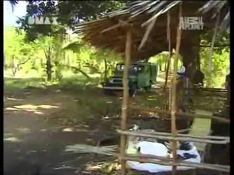 Kenia: Crocodile Hunter « Die schwarze Mamba » | [3/4 ...