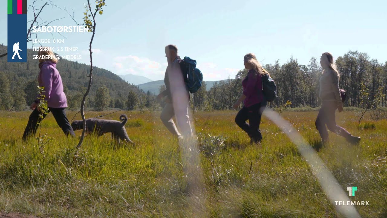 Hardangervidda