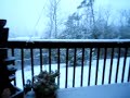 Kitty in First Snow !