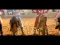 EASSC Motocross Championship