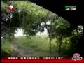 热带风暴袭击孟加拉国 多处房屋倒塌