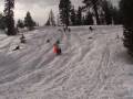 Sleding in Sequioa Sleding in Sequioa