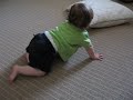 Willem 09.01.08