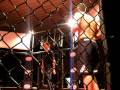MMA