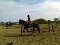 new pony 2