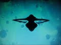 I Like To Movet It - Wolf`s Rain - Darcia