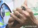 Bird Watching: Bird Banding Video Bird Watching: Bird Banding Video