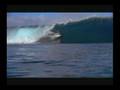 Dave Rastovich and Andy Irons shred.