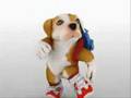 perro chacarron
