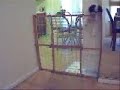 Little Bobo Escapes!