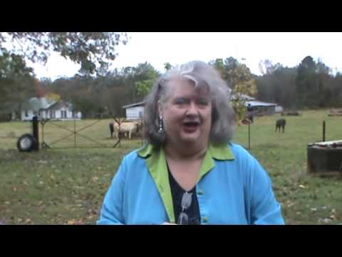 how to drain boggy land