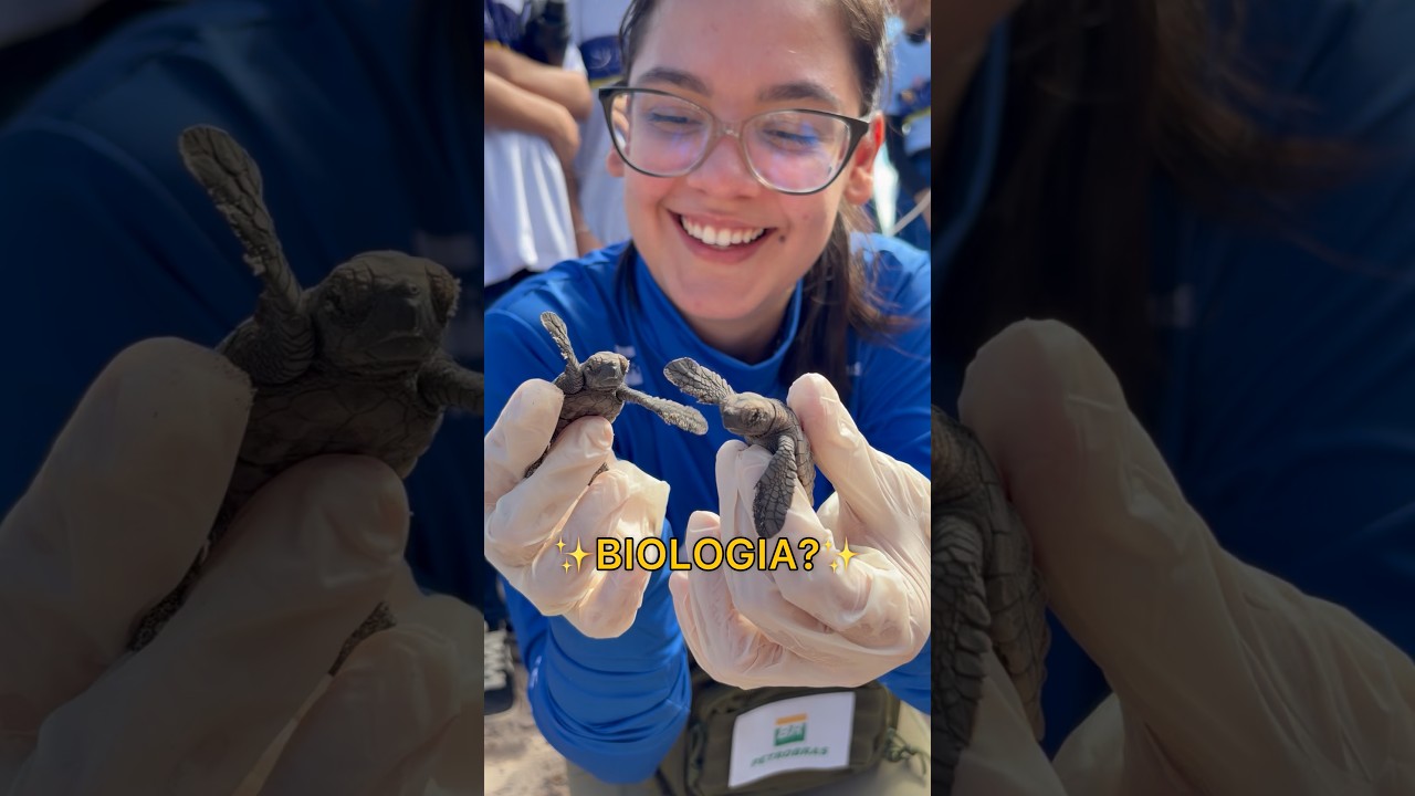 Oi gente, vamos aprender biologia? Levamos a Mylly para encontrar tartarugas marinhas