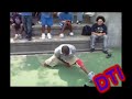 DTI (YBE DTIME) GET LITE New ROC