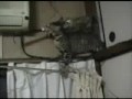 Кот идёт на свиданку