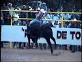 JARIPEO EN MICHOACAN