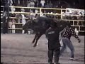 JARIPEO EN MICHOACAN