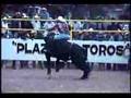 JARIPEO EN MICHOACAN