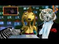 Cyklop Crazy zoo
