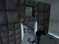 Portal Level 9