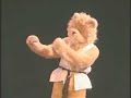The 2007 International College Mascot Dance Off Finals