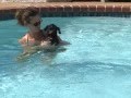 Odie goes swimming
