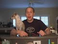 Mark Kaye is The Endorser - Pet Safe Electric Bark Collar