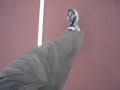The 100 Meter Run - used to motivate and measure