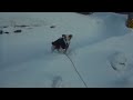 Click here to watch this video ジャックラッセルテリア ラッキー君 始めての雪国2012年2月27日