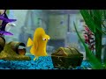 The yellow fish from Finding Nemo as a description of a person