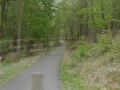 Treadway Creek Trail 5 6 09