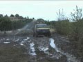 Tweety Jeep - Playing on Ceg Ranch