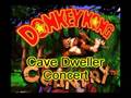 Donkey Kong Country - Cave Dweller Concert