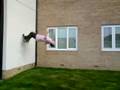 videos de TJ 2-Step Wallflip