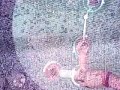 Bjork uses the reacTable for Pluto
