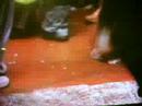states-evidence-clip-freedom.html