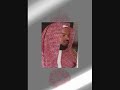 سورة محمد (صلي الله عليه وسلم) تلاوة الشيخ محمد لمحيسني