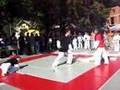 video TAEKWONDO DEMO TEAM PUMA