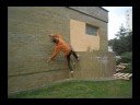 Juraj Prekop wall tricks