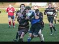 TARLETON SENIOR COLTS V WINNINGTON PARK