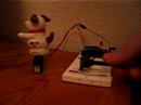 FHP Physical Computing