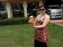 freeing birdies in Thailand