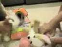Kinzville Kidz Episode 2 Part 2 Kinzville Kidz Episode 2 Part 2