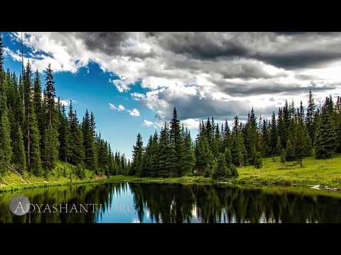 Adyashanti Guided Meditation: The Moment Perceiving Itself