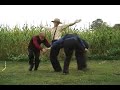 ok go in the fields dancing
