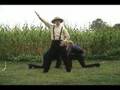 OK-Go-in-the-fields-