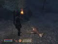 The elder scrolls IV. Oblivion - Hunting imperial guard.