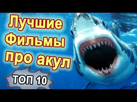 Фильмы про акул новинки 2018 года Фильмы про акул новинки 2018 года