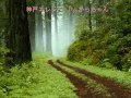 Click here to watch this video 神戸エレジー フル