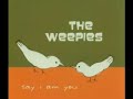 weepies chris walla nada surf wilco