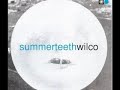 weepies chris walla nada surf wilco
